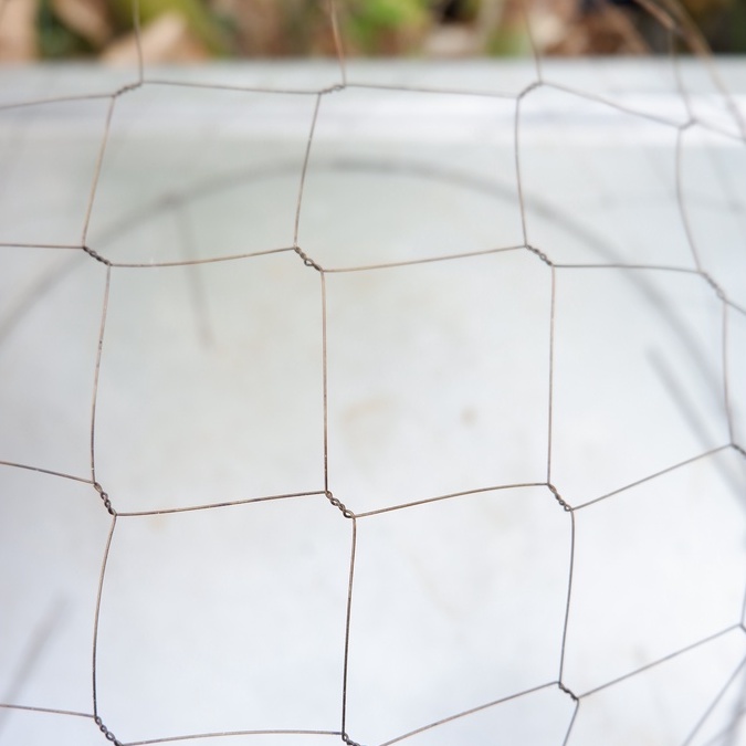 Bội Úp Chim Cu Gáy Siêu Rẻ