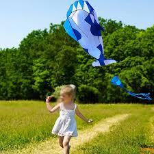 Được chọn màu-DIỀU CÁ VOI KHÍ ĐỘNG HỌC CỠ LỚN