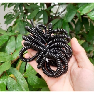 🎀🎀Cột Tóc Dạng Lò Xo Nhỏ (combo 5 cọng)