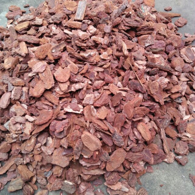 Vỏ thông đỏ băm nhỏ - Giá thể trồng lan chuyên dụng size 2-3cm hàng đẹp - phân phối bởi NÔNG TRẠI TẠI GIA