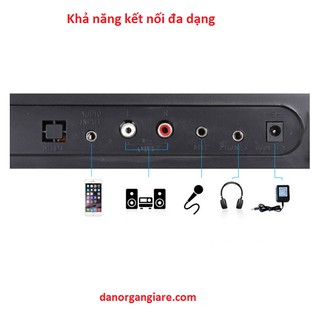 Đàn organ xy381