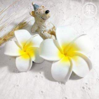 Hoa cài tóc đi biển giá rẻ (hàng có sẵn)