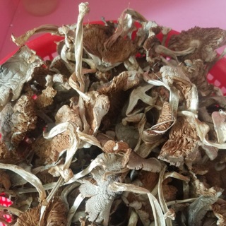 Nấm rơm khô 500gr