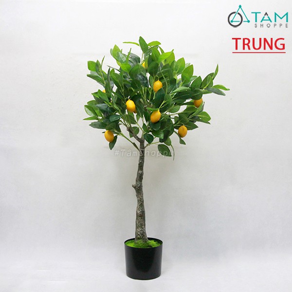 Cây chanh vàng Mỹ giả trang trí loại 01 F-CHGL-09 size nhỏ và trung