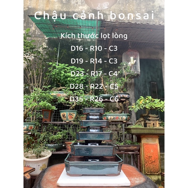 Chậu chữ nhật ( có hỗ trợ vc cho khách => nhắn tin cho shop )