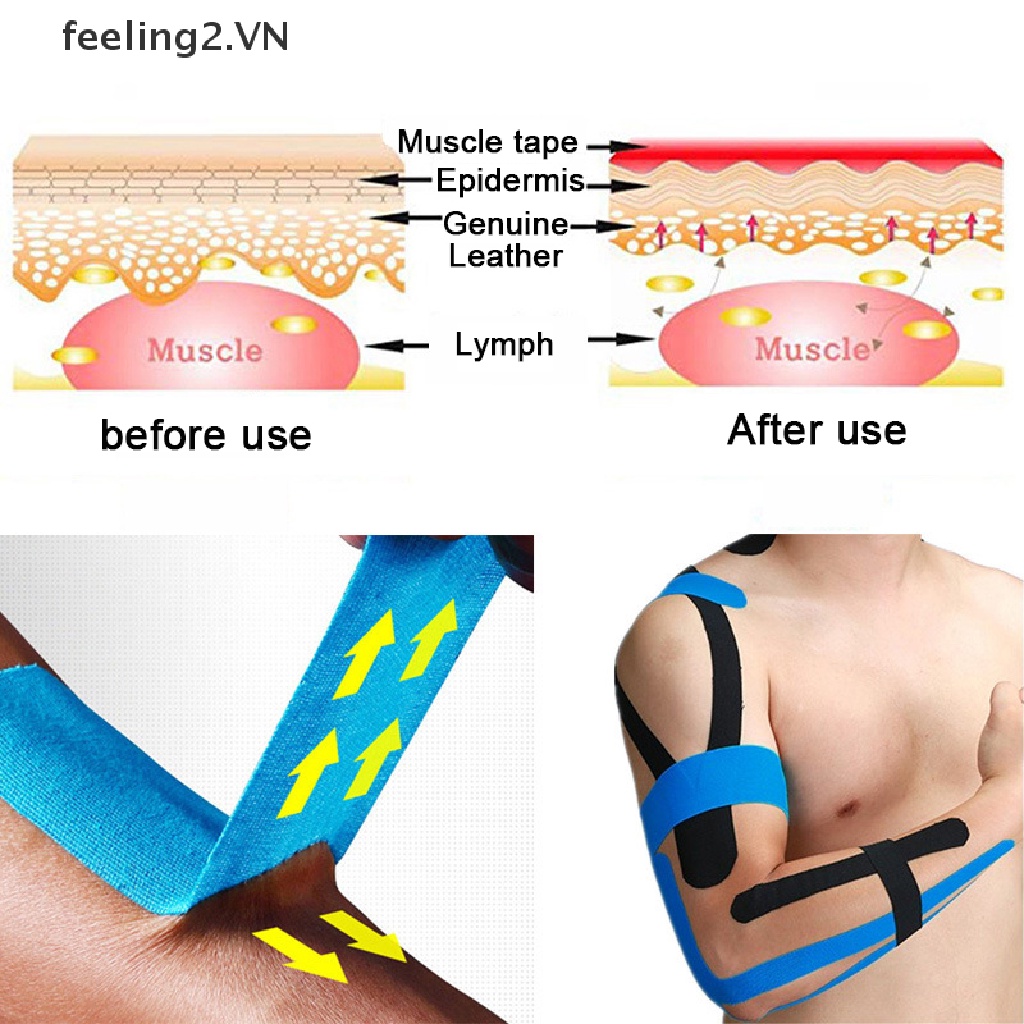 Đai Bảo Vệ Cơ Bắp Chuyên Dụng Trong Thể