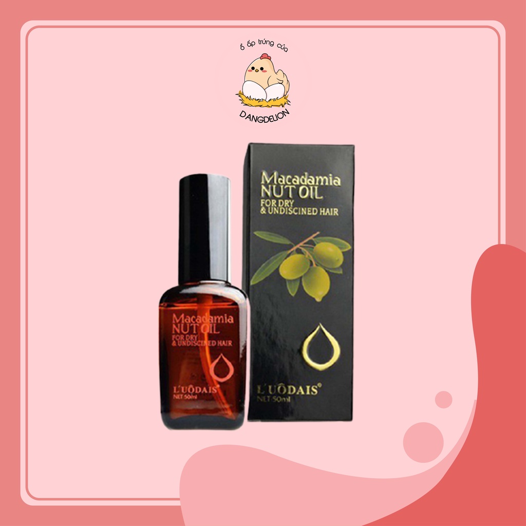 Tinh dầu dưỡng tóc Macadamia serum dưỡng tóc uốn Luodais NUT OIL 50ml