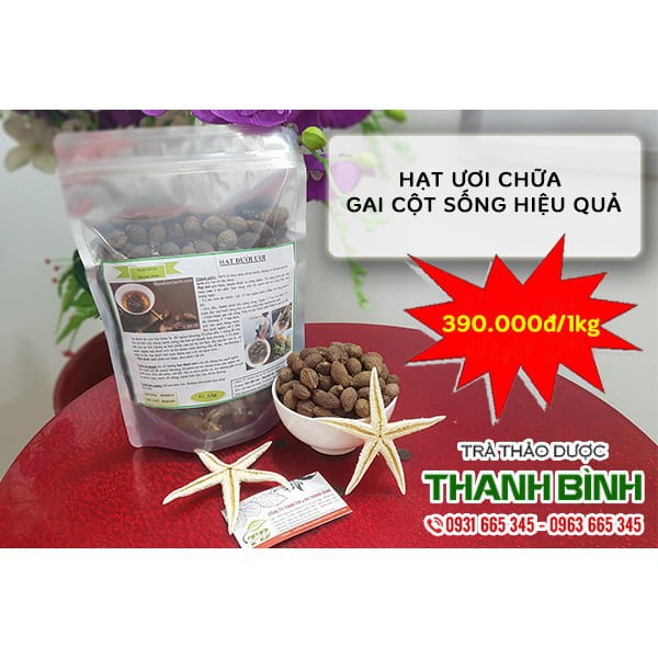 500Gr Hạt Ươi Khô Chất Lượng - Loại 1 Hàng Công ty - Lương Y Thanh Bình