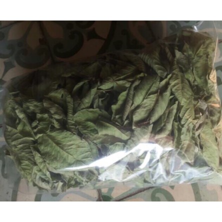 1kg lá ổi khô hàng loại 1