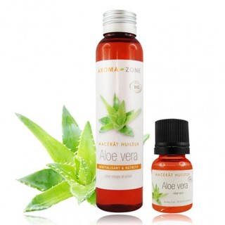 LÔ HỘI NGÂM DẦU - MACÉRÂT HUILEUX D'ALOE VERA BIO