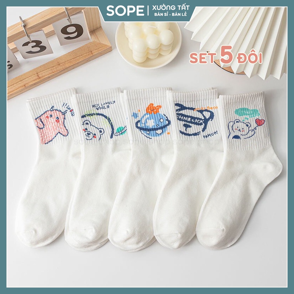 Tất vớ cổ cao họa tiết hình thú dễ thương, set 5 đôi tất vớ nữ Hàn Quốc - Sope Shop