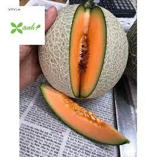 Hạt giống Dưa lưới F1 (Ruột cam, Siêu ngọt)