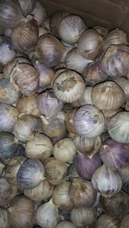 Tỏi đen 1 nhánh nhà làm(500g)