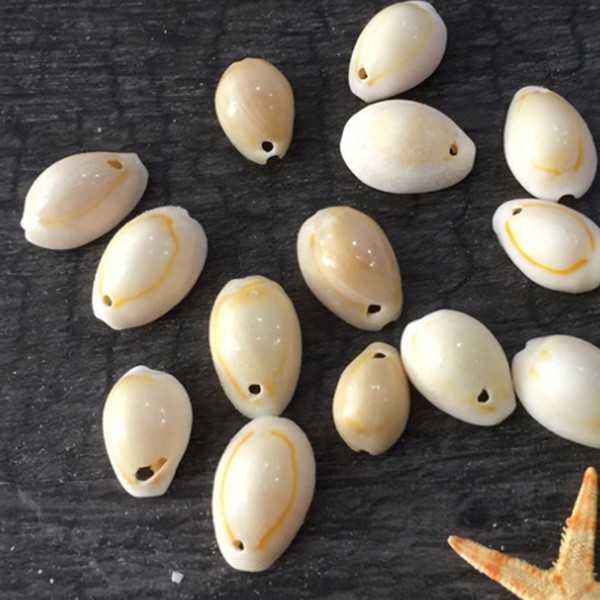 50pcs Shell Beads For Women Jewelry Bracelet Necklace Earring