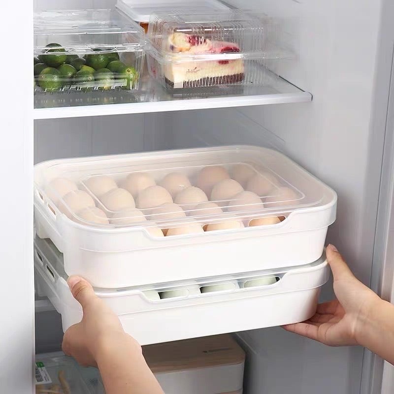 HỘP ĐỰNG TRỨNG 1 TẦNG 24 QUẢ