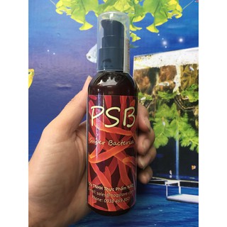 Vi khuẩn quang hợp sống PSP cho hồ cá