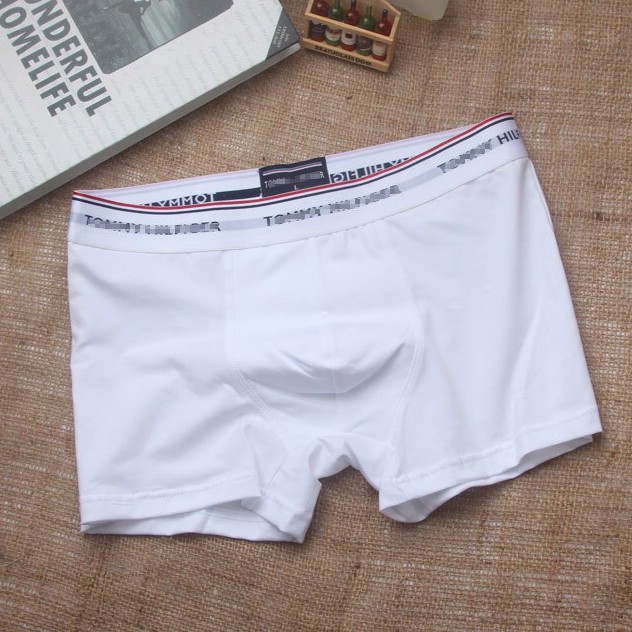 Quần lót nam cotton boxer siêu thoáng - LP04A