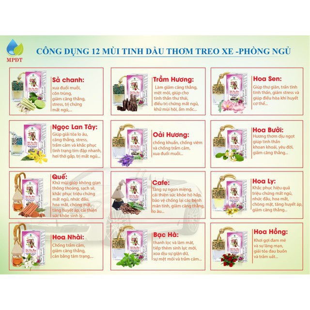 Tinh dầu treo xe ngân bình,treo xe ô tô,treo phòng ngủ, nhà vệ sinh tạo cảm giác dễ chịu, chống mệt mỏi, say xe buồn nôn | BigBuy360 - bigbuy360.vn
