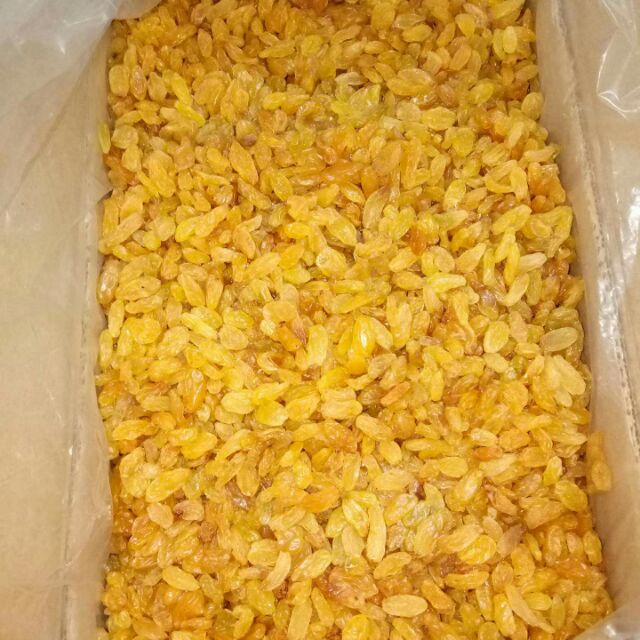 Nho khô Ấn Độ