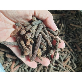 TIÊU DÀI-TIÊU LỐP-( long pepper )