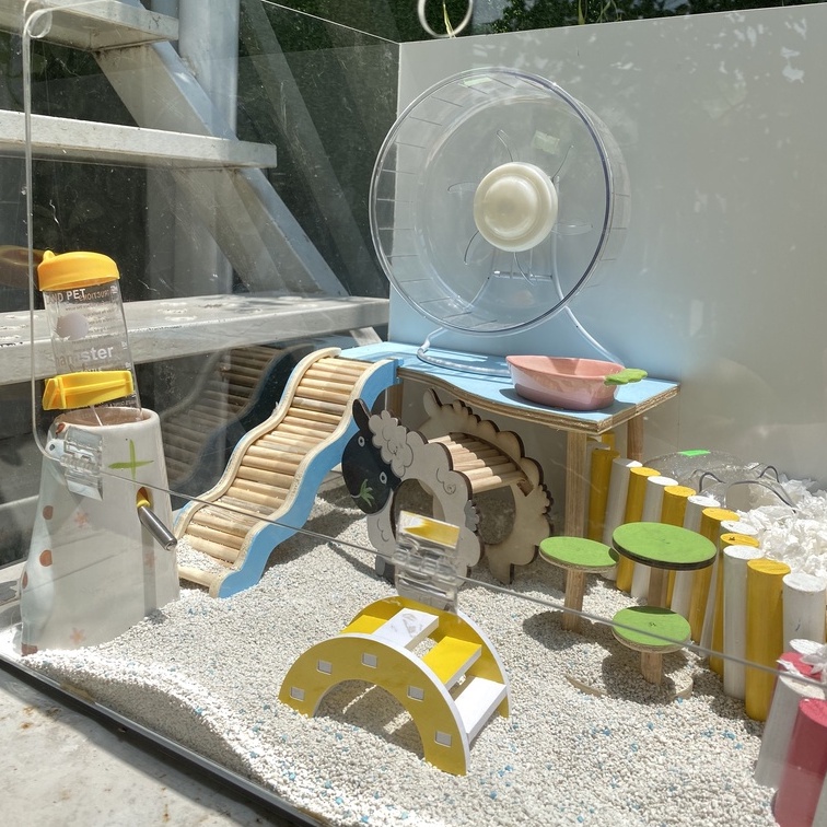 Trang trí chuồng hamster, Thang cụm bậc tròn