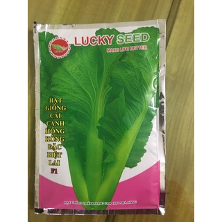 hạt giống cải canh hồng kông đặc biệt