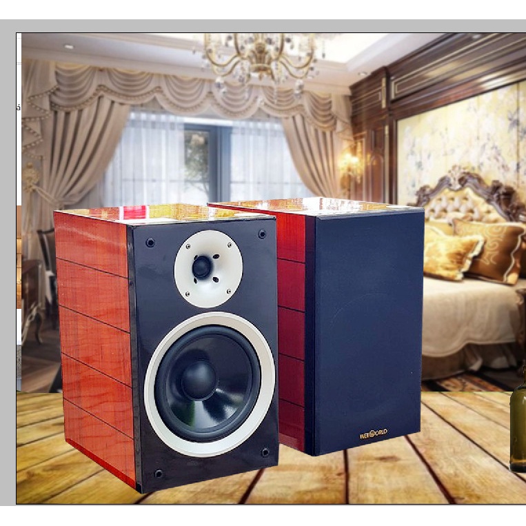 Loa Weeworld DX 5s Mini