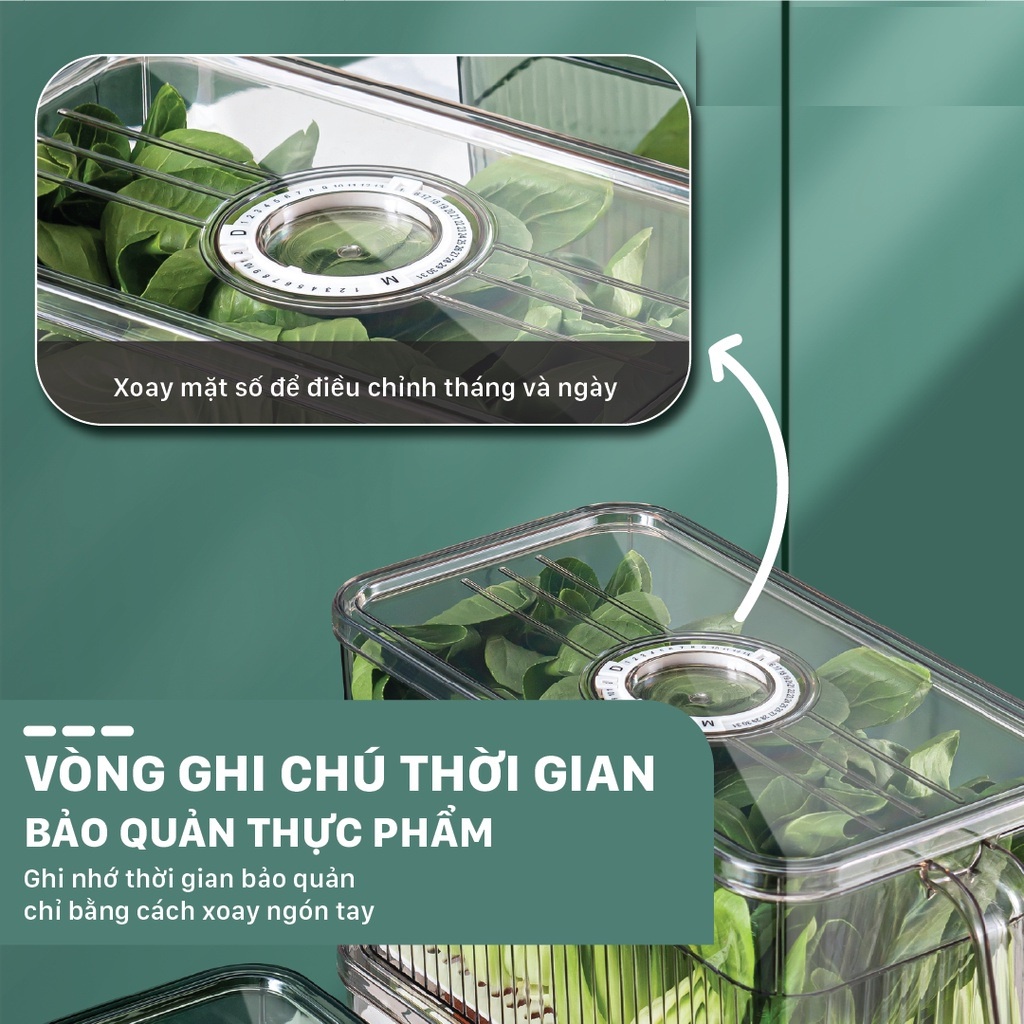 Hộp đựng thực phẩm tủ lạnh có ngăn tách nước, hộp đựng trái cây trong tủ  - Chất liệu cao cấp, an toàn sức khỏe