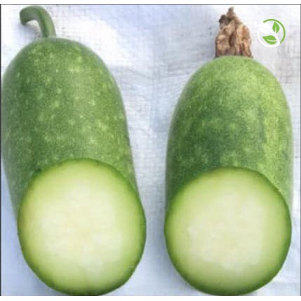 Hạt Giống Bí Đao F1 WG-9 Phú Nông - Gói 0.2g - Wax Gourd