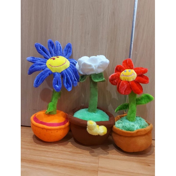 ☘☘☘Chậu hoa gấu bông❤