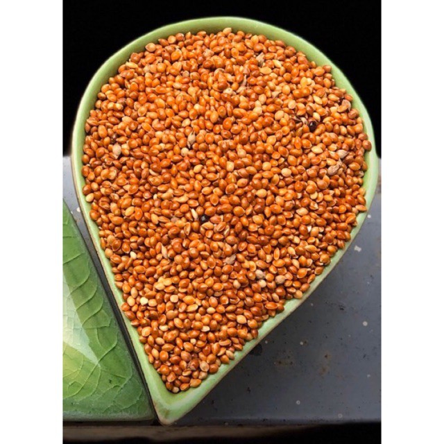 500g Hạt Kê Đỏ Bổ Dưỡng Cho Chim-Vẹt-Gà-Hamster-Rat-Đuôi Mập