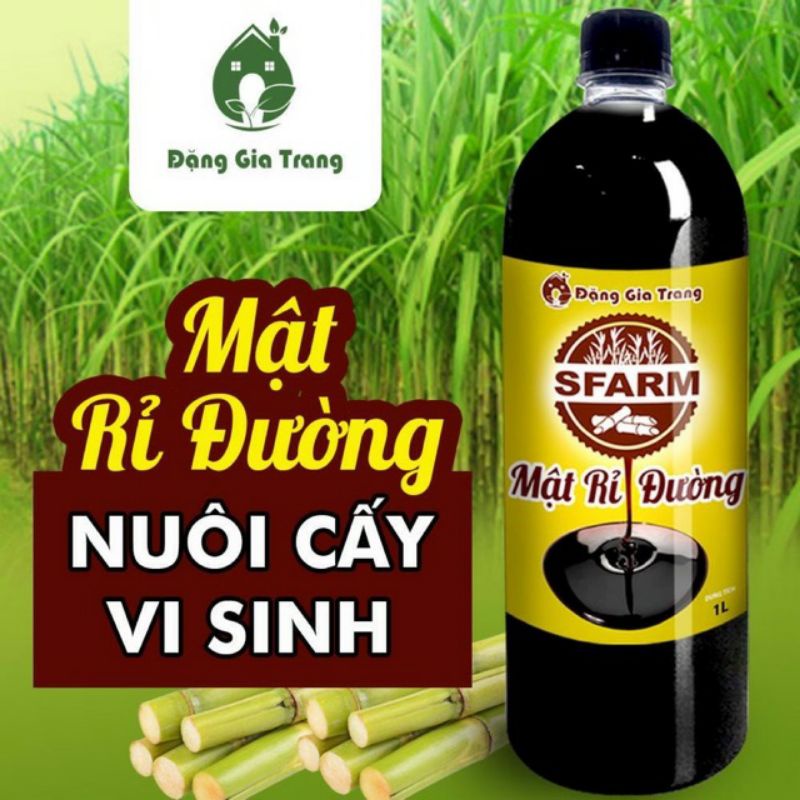 MẬT RỈ ĐƯỜNG SFARM