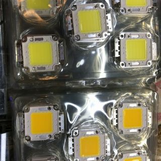 Nhân led 12v 100w