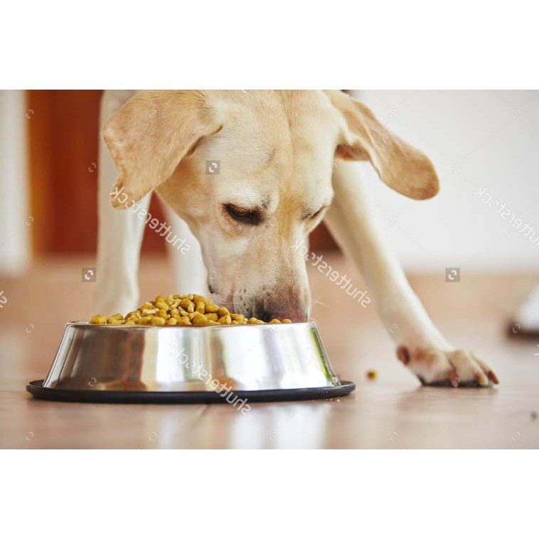 Thức ăn cao cấp dành cho chó nhỏ và chó mẹ mang thai - Smartheart Gold túi 1kg