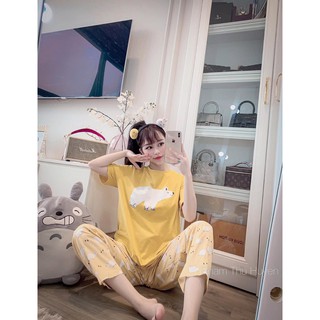 902. sét bộ cotton hình thú siêu hot