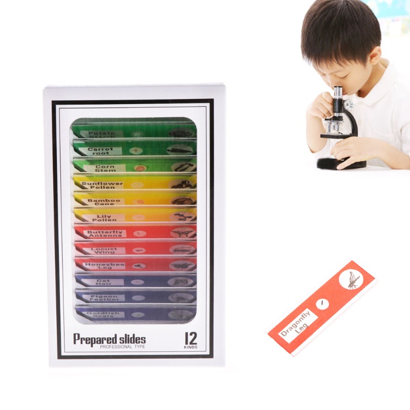 Set 12 Mẫu Vật Lý Kính Hiển Vi Cho Học Sinh
