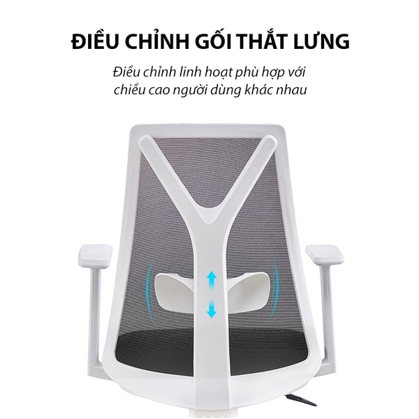 Ghế công thái học Nghia Furniture Ergonomic Express 01 Hiện Đại, Năng Động