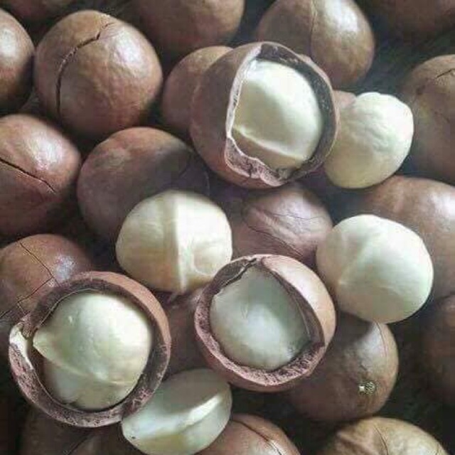 Combo 1kg Macca sấy đắc lắc
