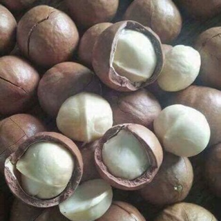 Combo 1kg Macca sấy đắc lắc