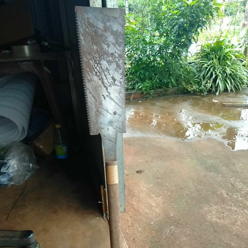 Cưa lá , cưa cành cây , cưa kiếm ,