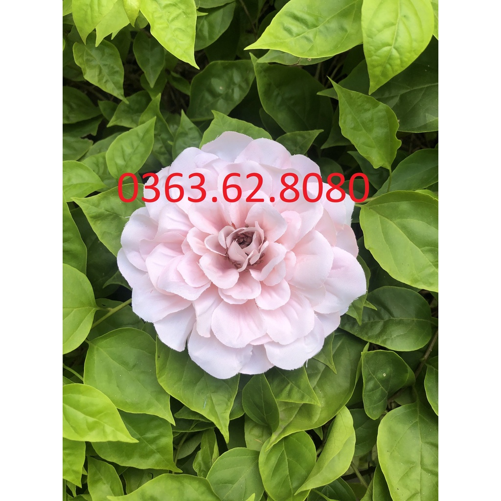 Đầu bông thược dược vải trang trí oản tài lộc, oản ngọc, tháp bánh, nước, giỏ quà Tết