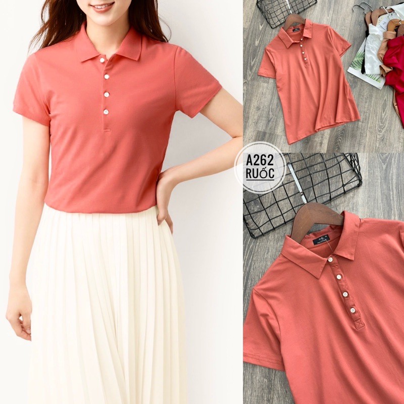 áo thun Polo t-shirt dư xịn vnxk siêu đẹp a262 | BigBuy360 - bigbuy360.vn