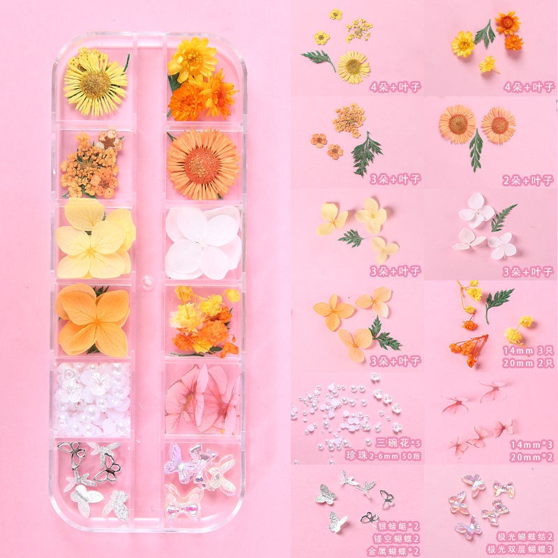 Miếng Dán Trang Trí Mặt Hình Cánh Hoa Khô Và Bướm Xinh Xắn