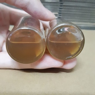 (Thủ Đức) Gum Arabic - Paul Rubens 15ml