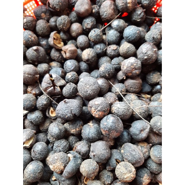 100g me rừng sấy khô