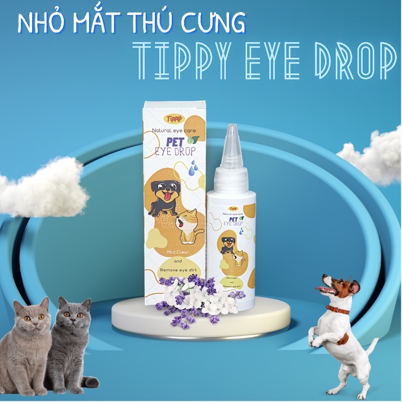 NHỎ MẮT CHÓ MÈO,SÁT KHUẨN,LÀNH VẾT THƯƠNG,CÂN BẰNG TUYẾN LỆ