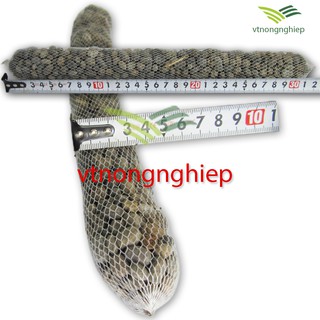 Phân dê túi lưới bón lan, đã qua xử lý dài 15cm, 20cm, 30cm