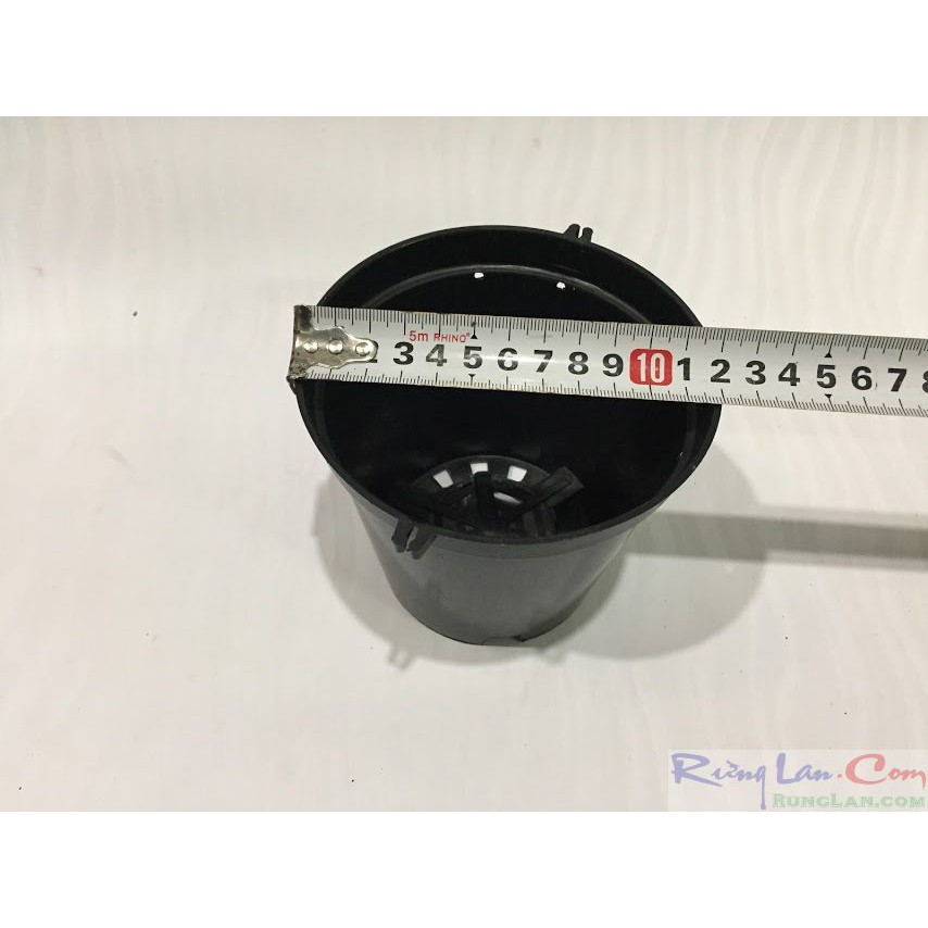 chậu nhựa đen 12 bit dung cho hoa lan cây cảnh 10cai