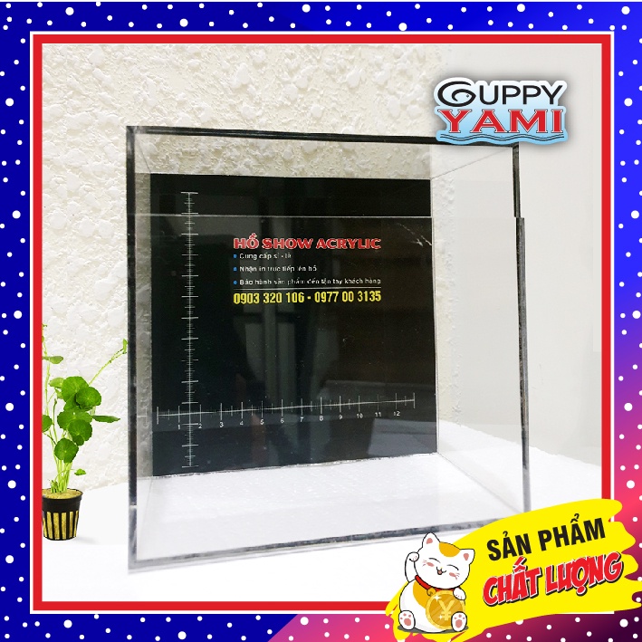 In Hồ Show Cá Siêu Trong Theo Yêu Cầu - Nhanh - Giá Cạnh Tranh - Màu Đẹp