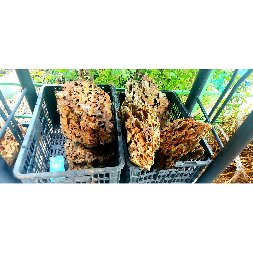 Đá Tiger - Đá Trang Trí Bể Thủy Sinh 1Kg